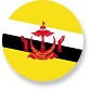 Ari flag